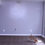 Basement Update – Carpet Installed