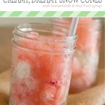 Creamy, Dreamy Snow Cones with Homemade & Real Fruit Syrup
