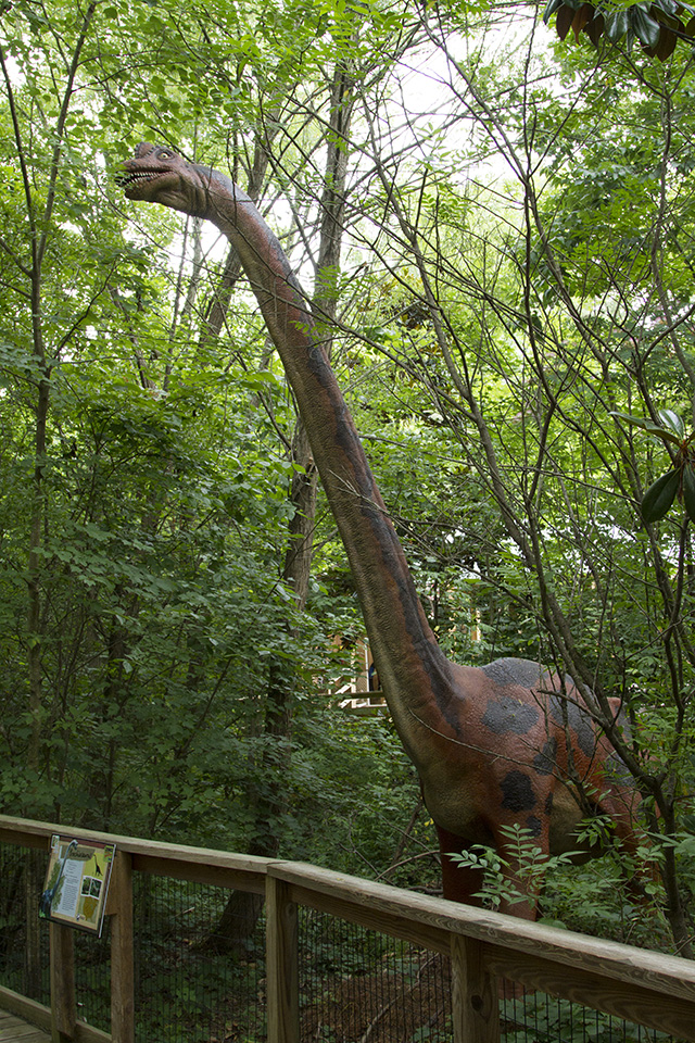 Dino Discovery They're Back - Birmingham, AL Zoo - brachiosaurus