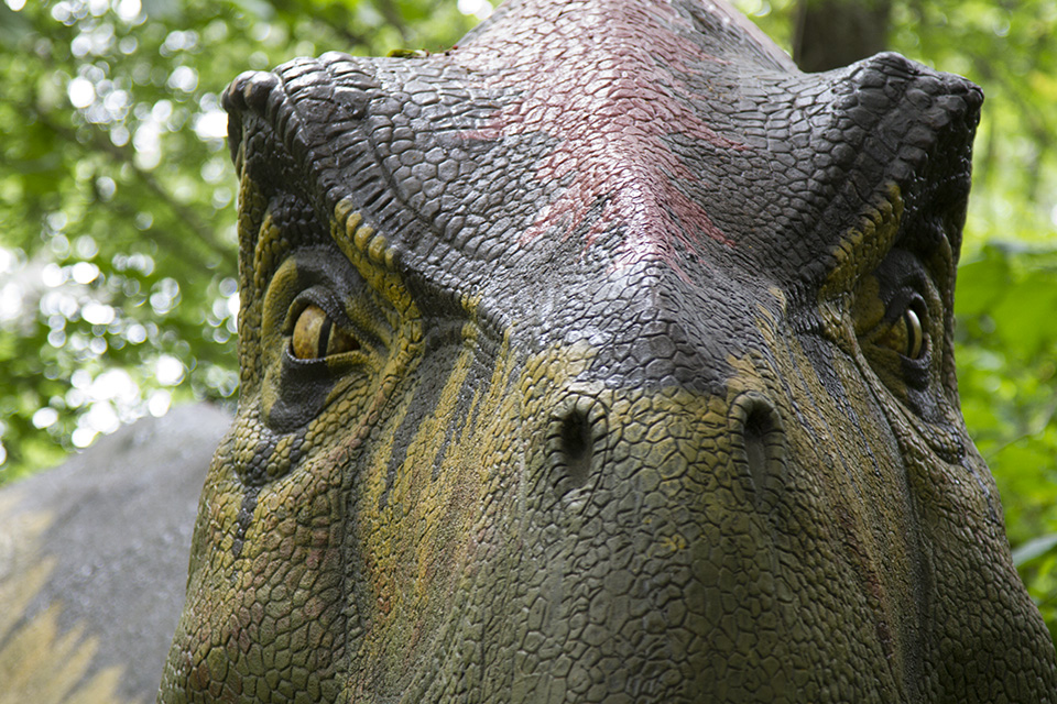 Dino Discovery They're Back - Birmingham, AL Zoo - tyrannosaurus rex detail 2