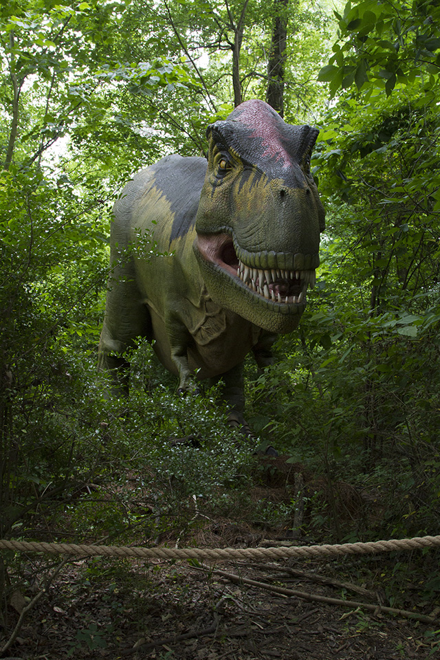 Dino Discovery They're Back - Birmingham, AL Zoo - tyrannosaurus rex trex 2