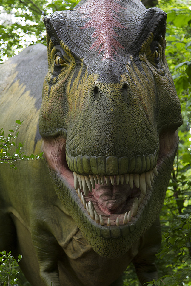 Dino Discovery They're Back - Birmingham, AL Zoo - tyrannosaurus rex trex 3