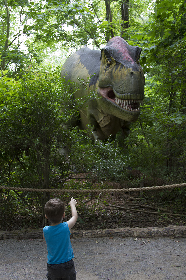 Dino Discovery They're Back - Birmingham, AL Zoo - tyrannosaurus rex trex 4