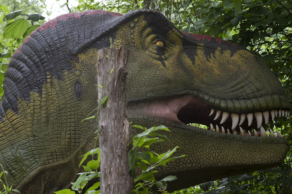 Dino Discovery They're Back - Birmingham, AL Zoo - tyrannosaurus rex trex
